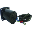 Motor de inclinação Johnson Evinrude 15CV_2