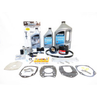 Kit revisão Mercury 75 CV EFI 1.7L 4T Injection 300h