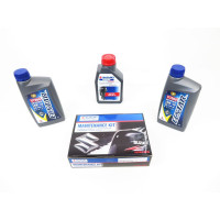 Kit revisão Suzuki DF20A 100h