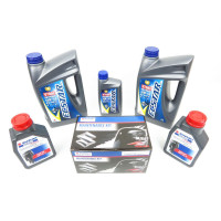 Kit revisão Suzuki DF200AP 100h