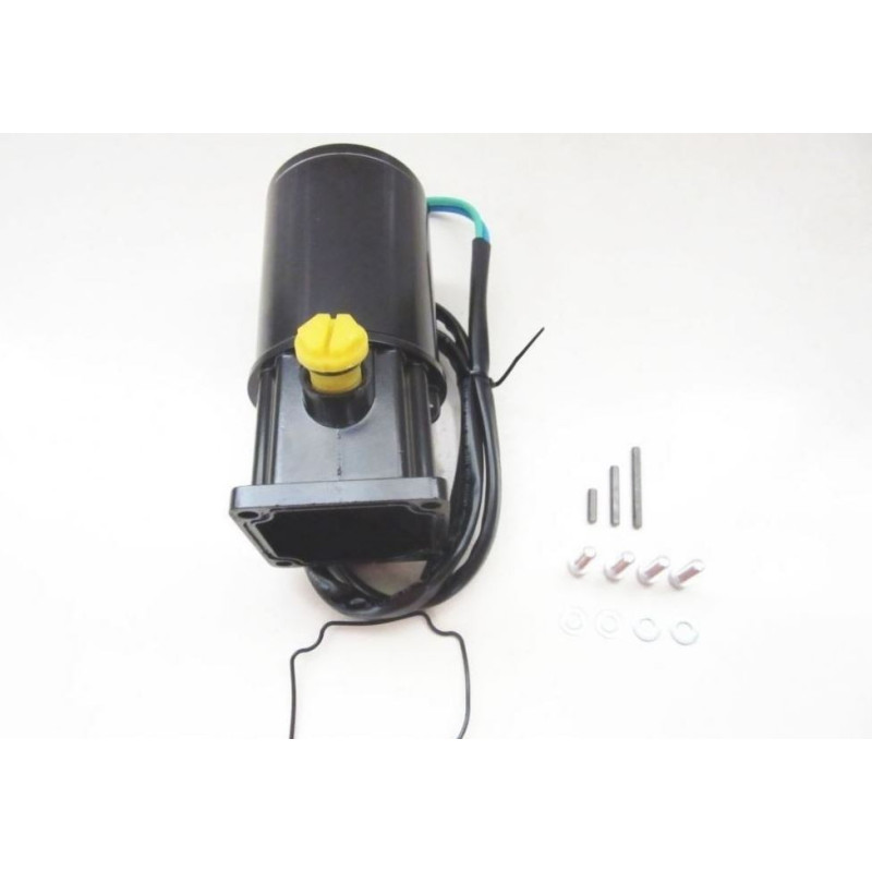 809885A1 / 809885A2 Motor de inclinação Force Mercury 40 a 150HP 2 tempos