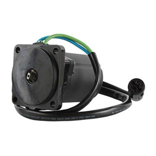 Motor de inclinação Honda BF40 36120-ZW4-H12