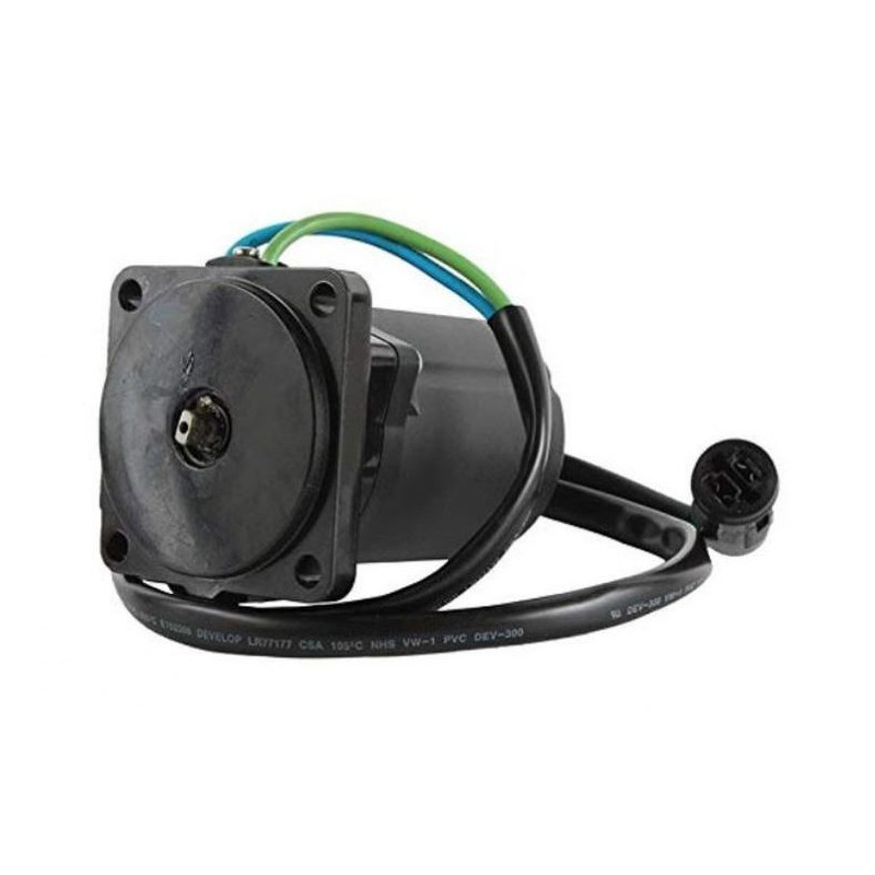 Motor de inclinação Honda BF40 36120-ZW4-H12