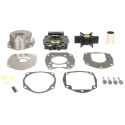 Kit do impulsor Mercury 30HP 4 tempos Carbu