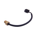 Sensor de temperatura Yamaha F25