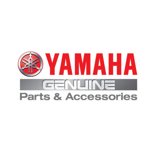 Kit revisão Yamaha F50F