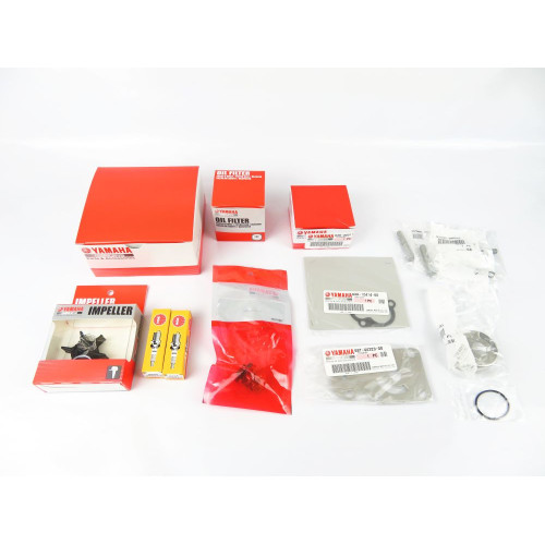 Kit revisão Yamaha F20B