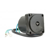 38100-99E01-OEP Motor de inclinação Suzuki 60 e 70HP 4T-1